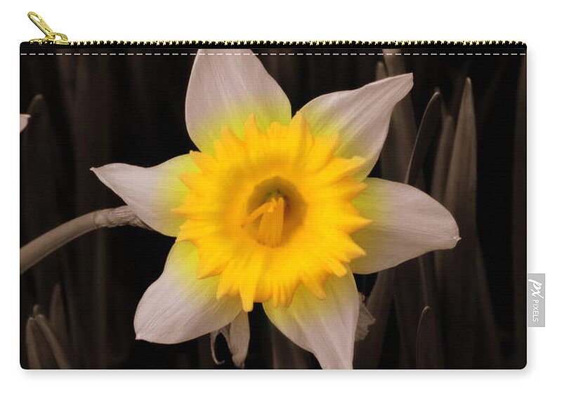 Daffodil Zip Pouch featuring the photograph Daffodil by Lisa Wooten