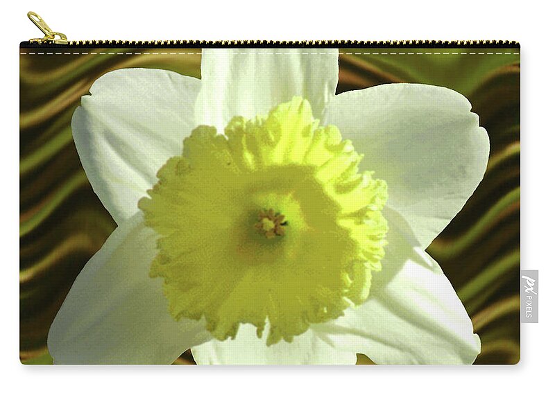 Daffodil Zip Pouch featuring the photograph Daffodil Swirl by Alison Stein