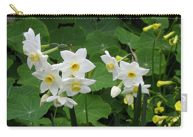Daffodil Zip Pouch featuring the photograph Daffodils And Oxalis by James B Toy