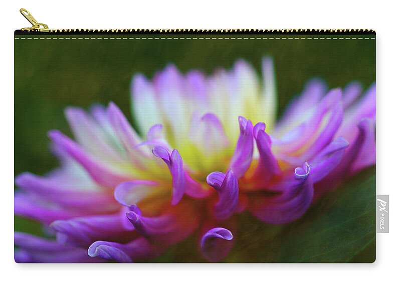 Bloom Carry-all Pouch featuring the photograph Dahlia Bloom by Robert FERD Frank