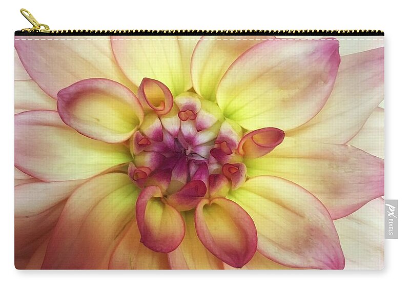 Dahlia Zip Pouch featuring the photograph Dahlia Delight by Marcia Breznay