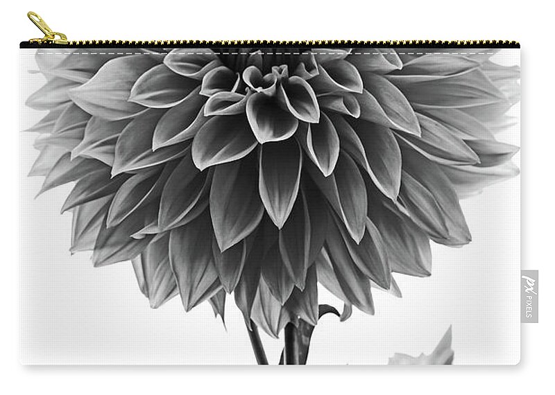 Dahlia Zip Pouch featuring the photograph Dahlia In Black And White by Mark Alder