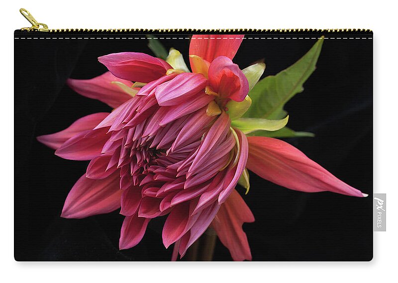 Flower Zip Pouch featuring the photograph Dahlia 'Wynn's King Salmon' by Ann Jacobson