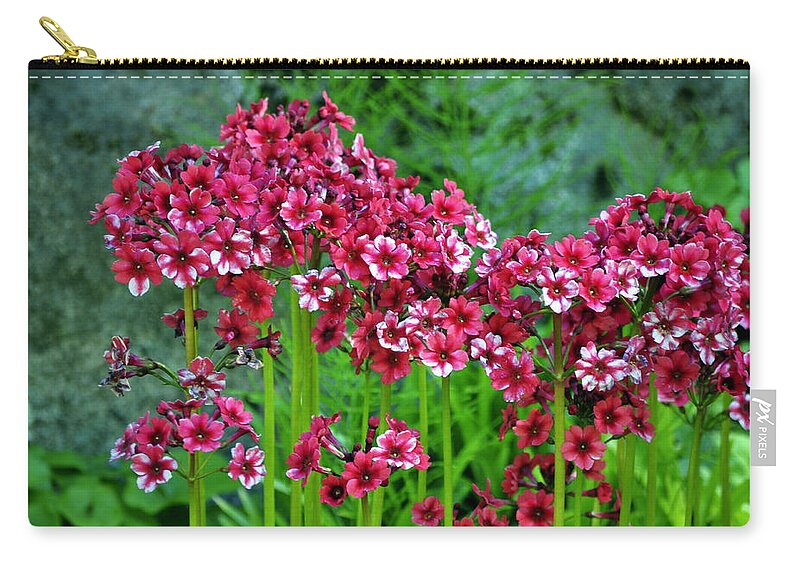 Floral Zip Pouch featuring the photograph Dainty Fleurs by Emerita Wheeling