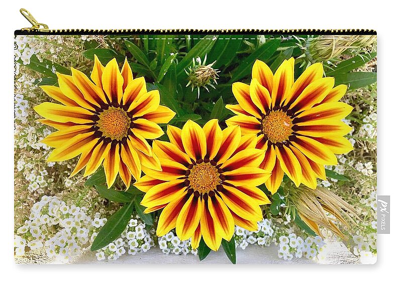 Daisies Zip Pouch featuring the photograph Daisies 3B by Christine McCole