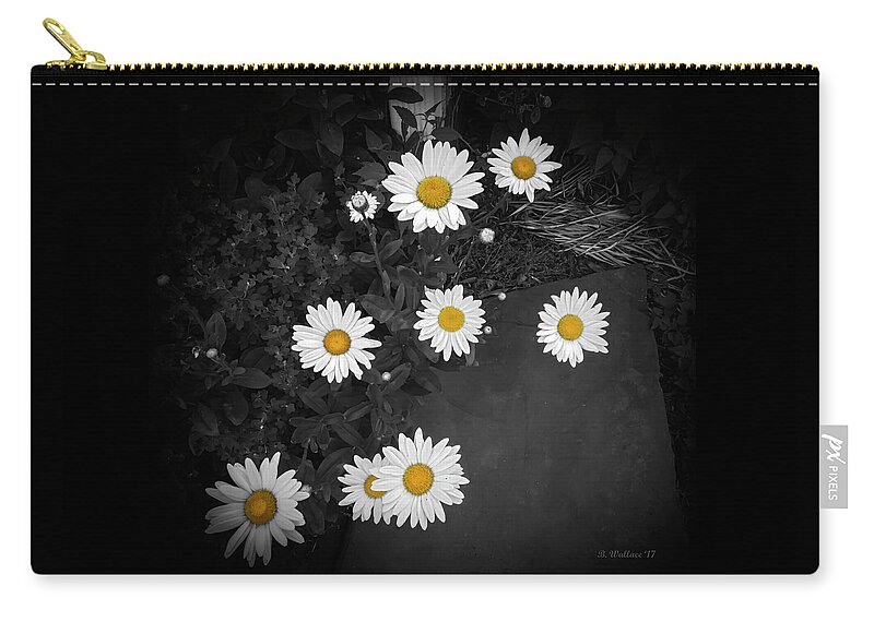 2d Zip Pouch featuring the photograph Daisies - Color Select by Brian Wallace