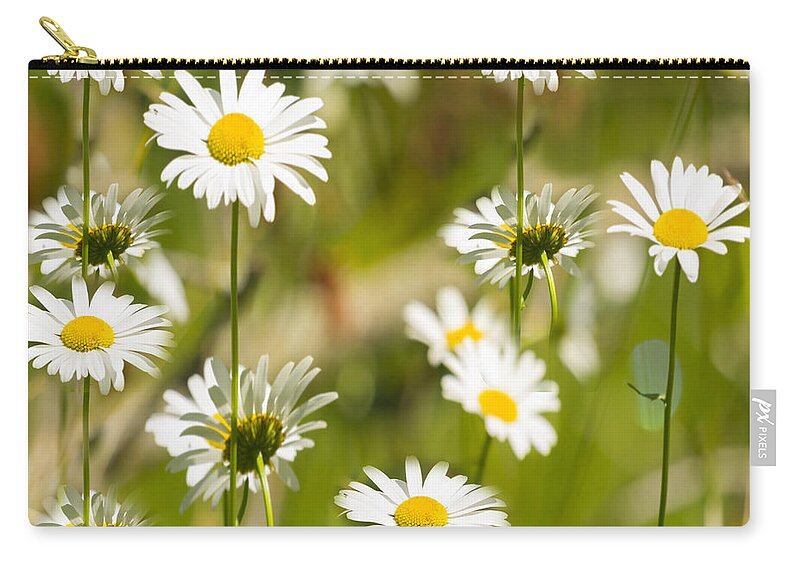 Daisies Carry-all Pouch featuring the photograph Daisies Galore 2014-1 by Thomas Young