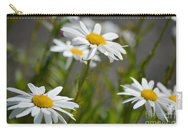 Daisy Zip Pouch featuring the photograph Daisies Galore by Carol Eliassen