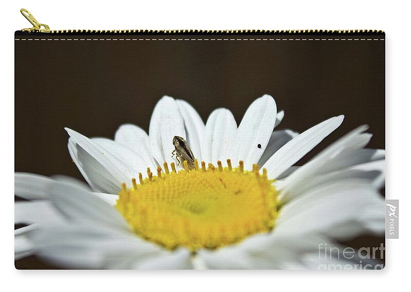 Leafhopper Zip Pouch featuring the photograph Daisy and Leafhopper by Ms Judi
