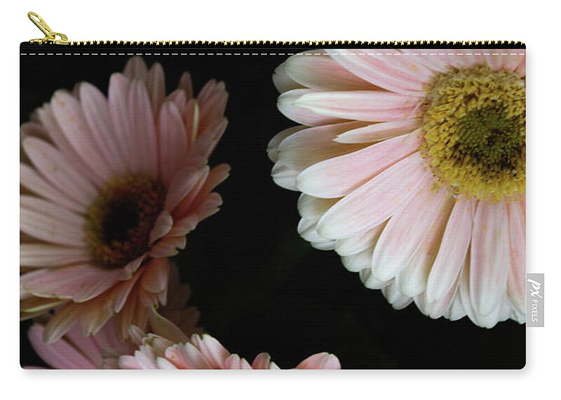 Daisy Zip Pouch featuring the photograph Daisy Cluster by William Norton