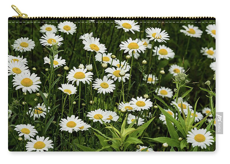 Flower Zip Pouch featuring the photograph Daisy Delight by Jody Partin
