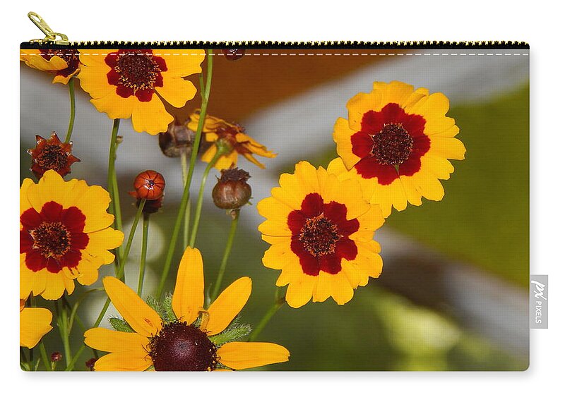 Flower Flora Still-life Gardening Arrangements Yellow Brownish- Red Stain Glass Window Background Daisy Buds Bloom Green Leaves Orange And Green Stained Glass Nature Floral Photography By Jan Gelders Floral Decor Interior Design Accent Carry-all Pouch featuring the photograph Daisy Delights by Jan Gelders