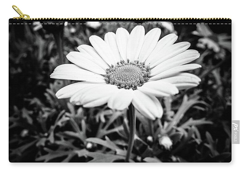 Daisy Flower Zip Pouch featuring the photograph Daisy Flower Black and White by Cesar Vieira