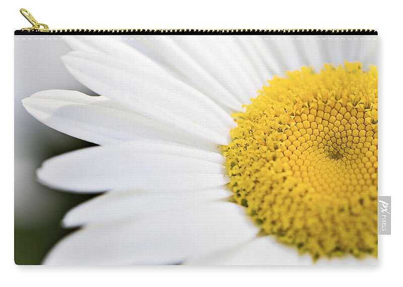 Daisy Zip Pouch featuring the photograph Daisy by Marlo Horne