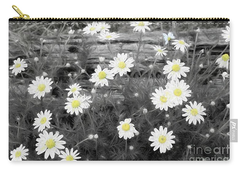 Daisy Zip Pouch featuring the photograph Daisy Patch by Benanne Stiens