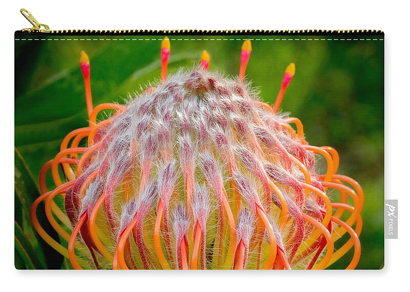Flower Carry-all Pouch featuring the photograph Dance of the Hydra by Derek Dean