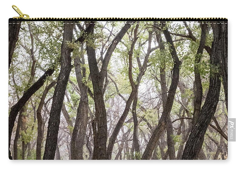 Landscapes Carry-all Pouch featuring the photograph Dance of the Trees by Mary Lee Dereske
