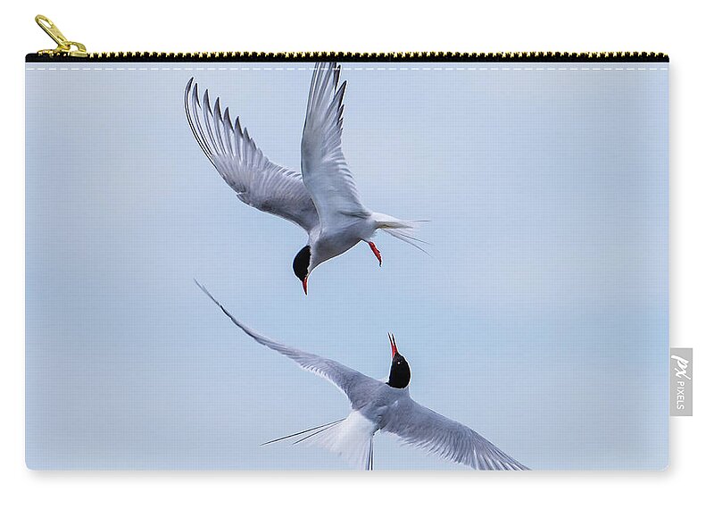 Dancing Arctic Terns Carry-all Pouch featuring the photograph Dancing Arctic Terns by Torbjorn Swenelius