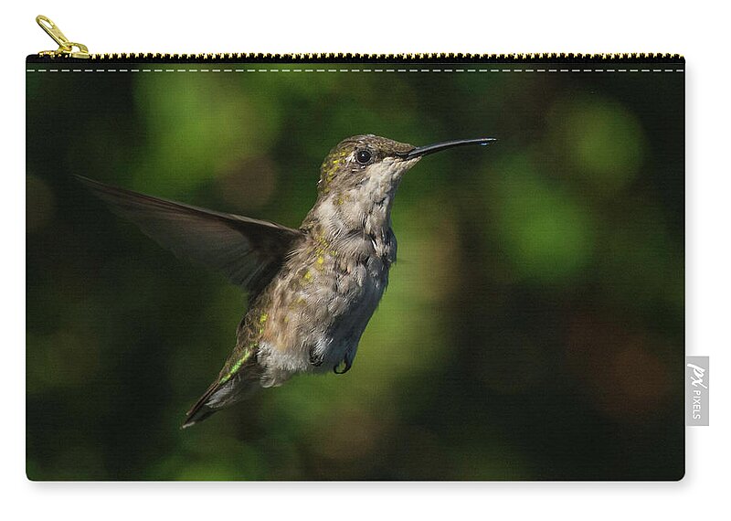 Hummingbird Zip Pouch featuring the photograph Dancing on air by Kenneth Cole
