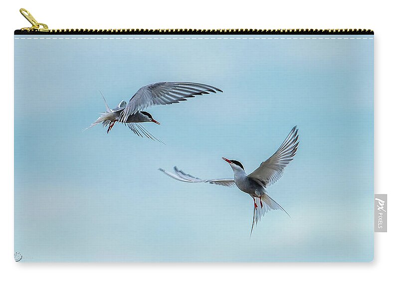 Flying Common Terns Carry-all Pouch featuring the photograph Dancing Terns by Torbjorn Swenelius