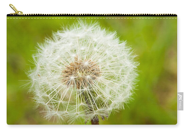 Flower Zip Pouch featuring the photograph Dandelion seed head. by John Paul Cullen