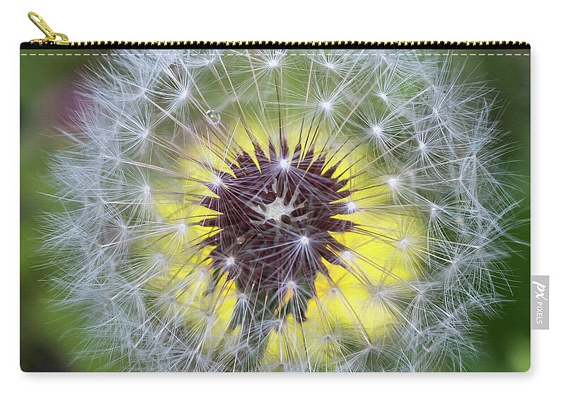 Terry D Photography Zip Pouch featuring the photograph Dandelion Square by Terry DeLuco