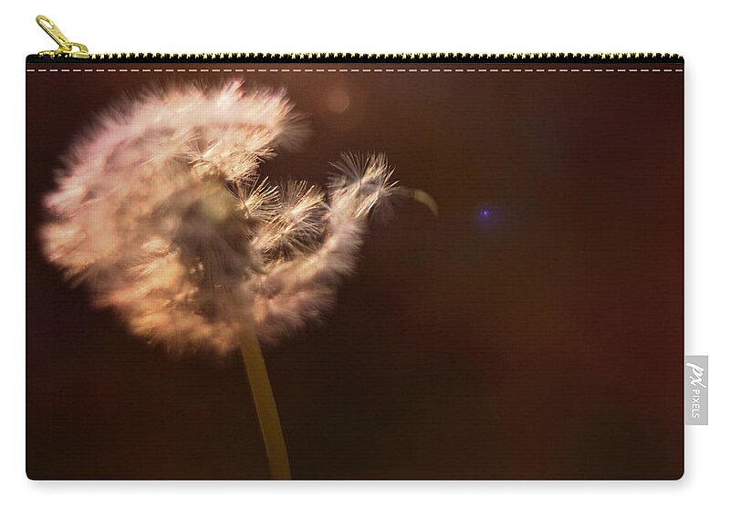 Dandelion Puff Zip Pouch featuring the mixed media Dandelion by Stephanie Hollingsworth