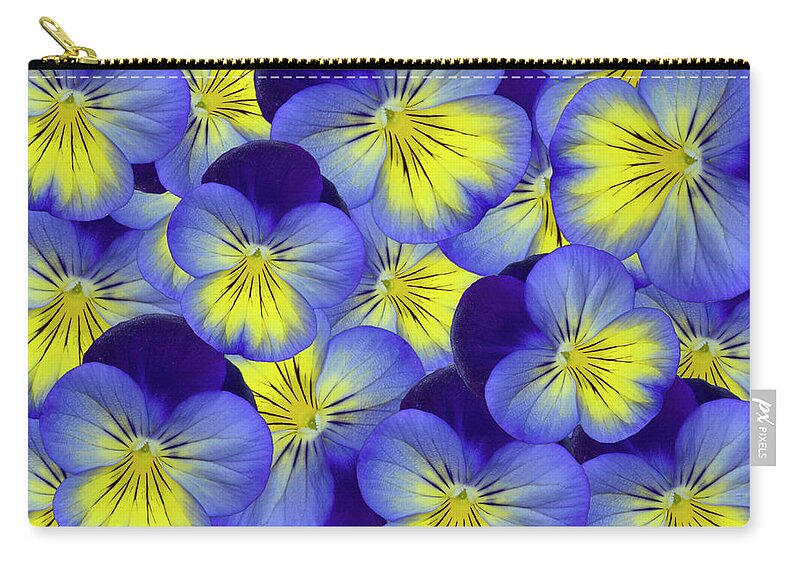  Isolated Zip Pouch featuring the photograph Dandy Pansies by Ann Bridges