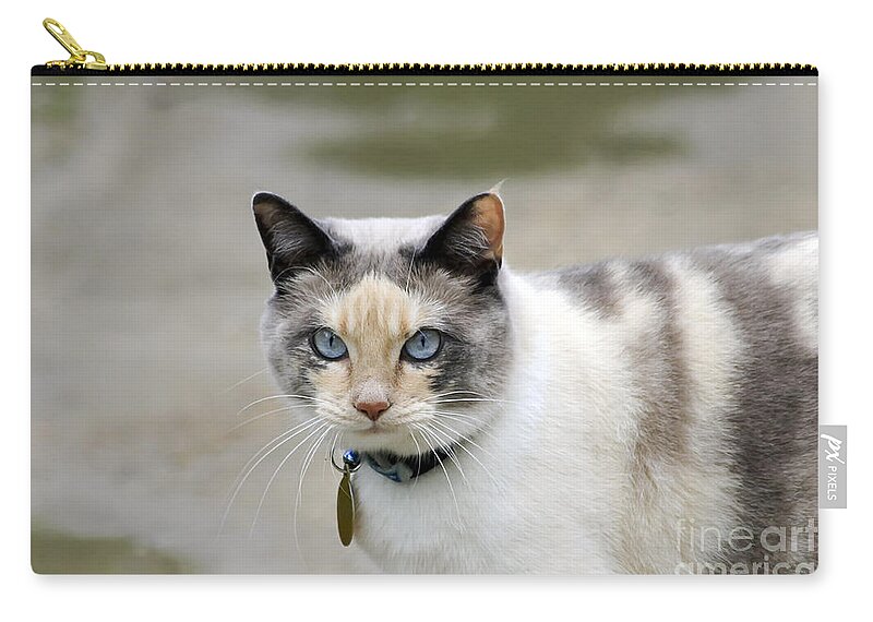 Animal Zip Pouch featuring the photograph Danni Girl by Teresa Zieba