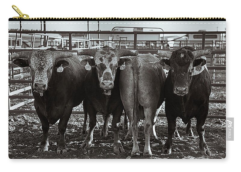 Cattle Zip Pouch featuring the photograph Dare to be Different by Pamela Steege
