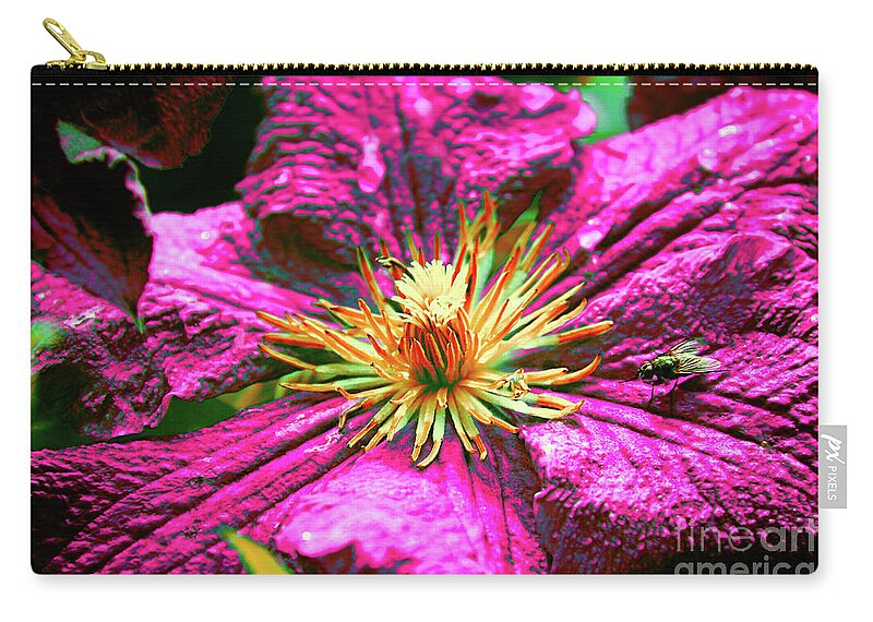 Daring Clematis Zip Pouch featuring the photograph Daring Clematis by Mariola Bitner