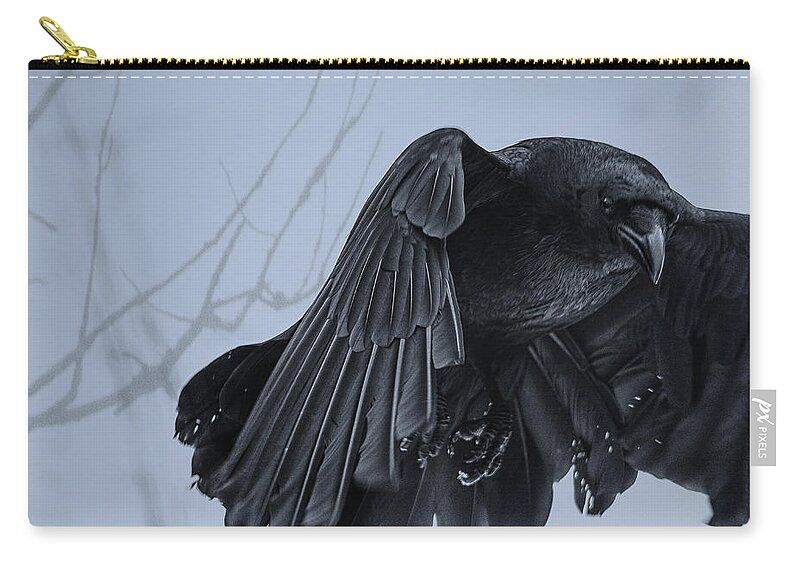 Raven Zip Pouch featuring the photograph Dark Angel by Sue Capuano