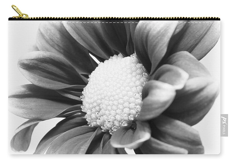 Daisy Zip Pouch featuring the photograph Dark Beauty by Anita Oakley