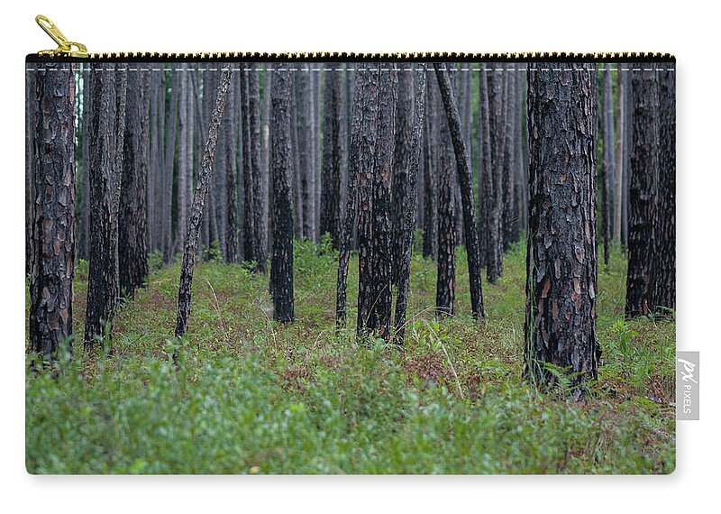 Lake Waccamaw Zip Pouch featuring the photograph Dark Forest by Brian Green