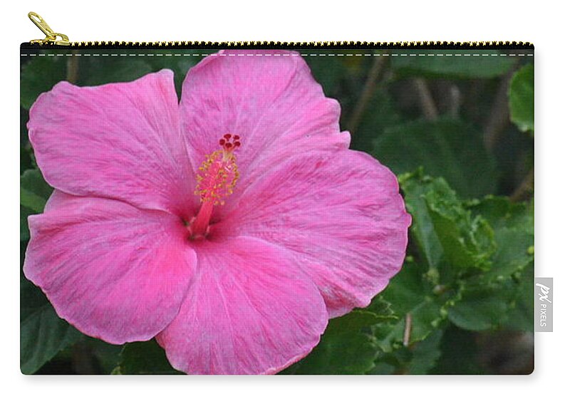 Flower Carry-all Pouch featuring the photograph Dark Pink Hibiscus Duo by Amy Fose