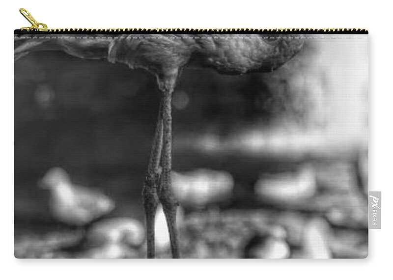 Flamingo Carry-all Pouch featuring the photograph Dark Side of the Pond by Stoney Lawrentz