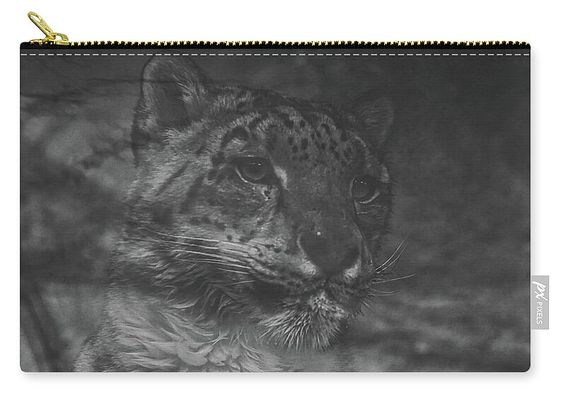 Snow Leopards Zip Pouch featuring the photograph Day Dreaming Snow Leopard by Ernest Echols