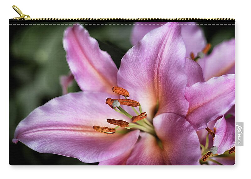 Flower Zip Pouch featuring the photograph Day Lily by Scott Wyatt