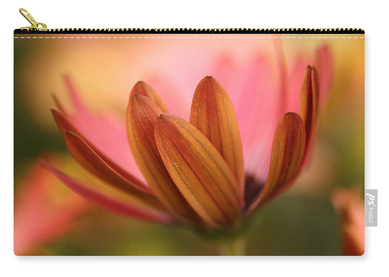 Connie Handscomb Zip Pouch featuring the photograph Daybreak by Connie Handscomb