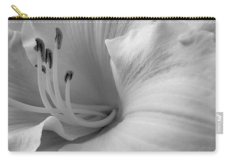 Daylily Zip Pouch featuring the photograph Daylily Delight in Black and White by Rachel Hannah