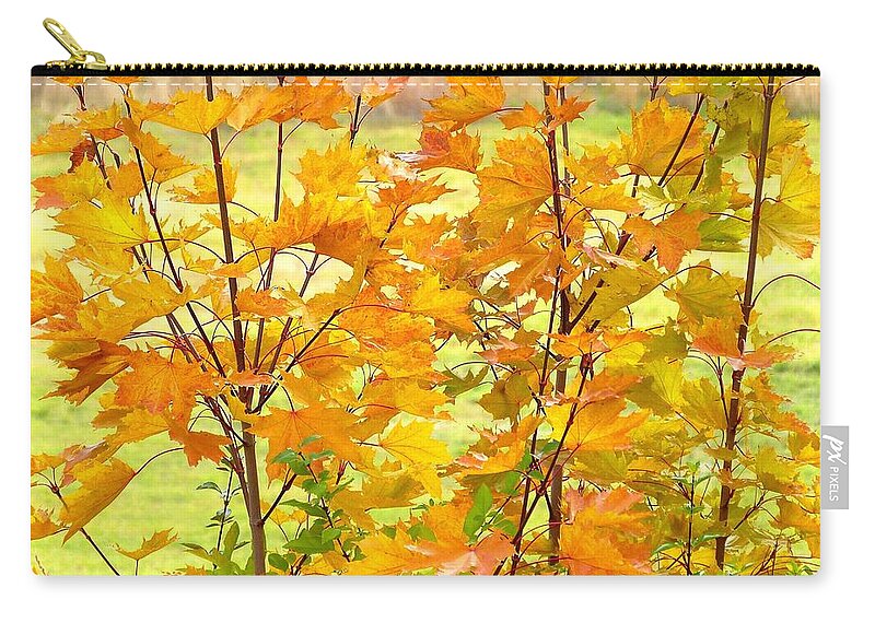 Maple Leaves Zip Pouch featuring the photograph Days Of Autumn 1 by Will Borden