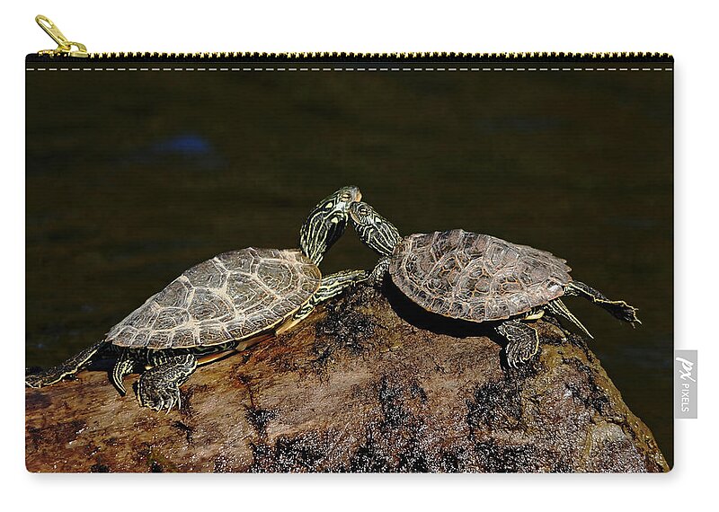Turtles Zip Pouch featuring the photograph Dazzle Me by Debbie Oppermann