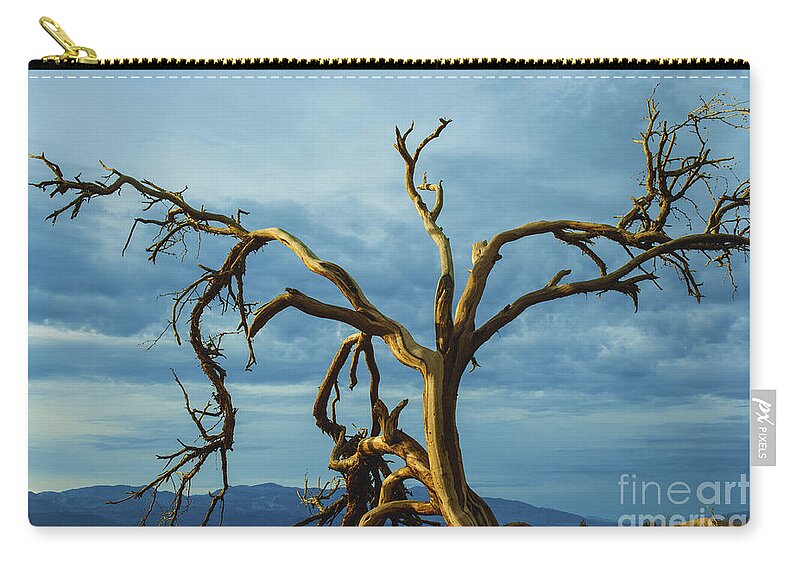 Death Valley Zip Pouch featuring the photograph Dead tree in Death Valley 7 by Micah May
