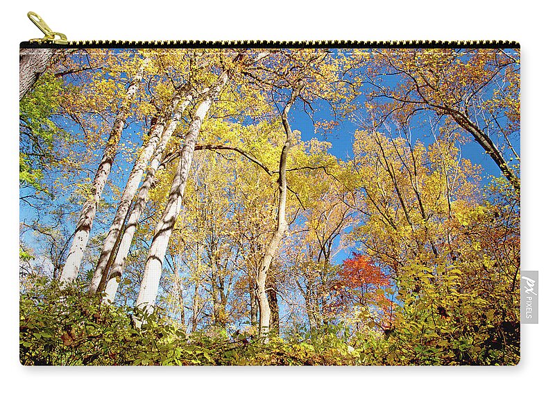 Deciduous Zip Pouch featuring the photograph Deciduous Forest Canopy, Autumn by A Macarthur Gurmankin