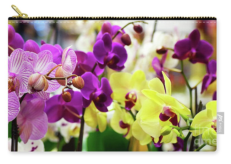 Decorative Zip Pouch featuring the photograph Decorative Orchids Still Life B82418 by Mas Art Studio