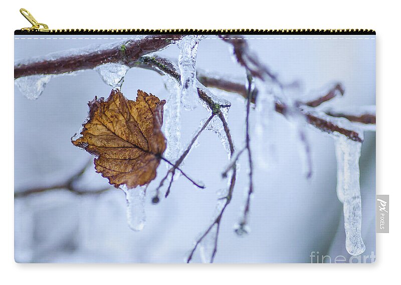 Winter Zip Pouch featuring the photograph Deep Freeze by Nick Boren