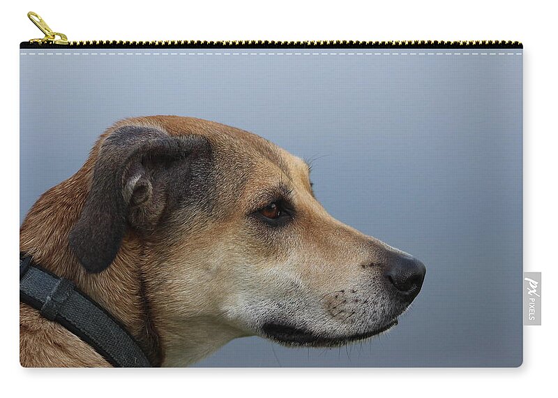 Dogs Zip Pouch featuring the photograph Deep In Thought by Tim Kuret