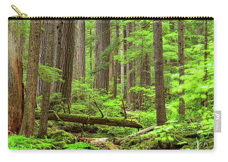 Forest Zip Pouch featuring the photograph Deep Woods by Spencer McDonald