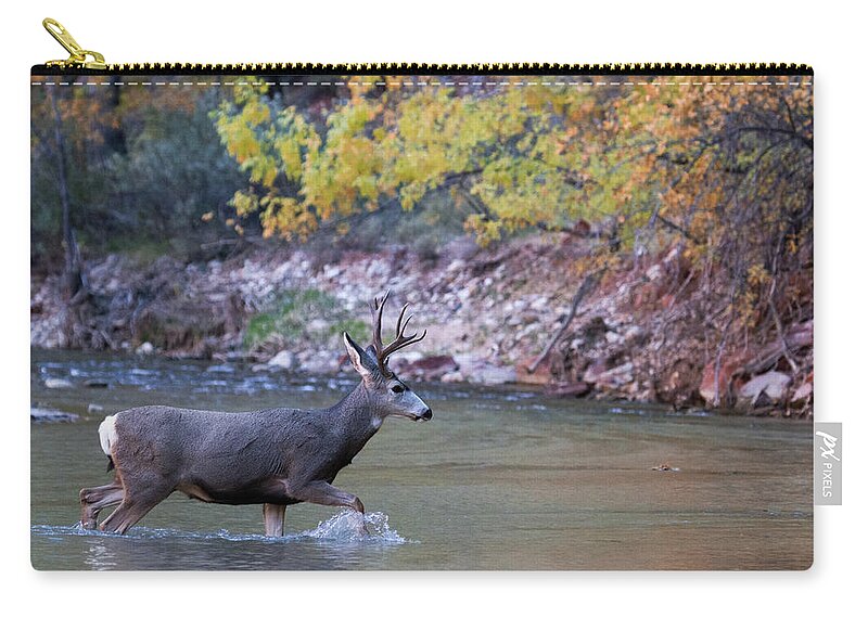 Zion Zip Pouch featuring the photograph Deer Crossing River by Wesley Aston