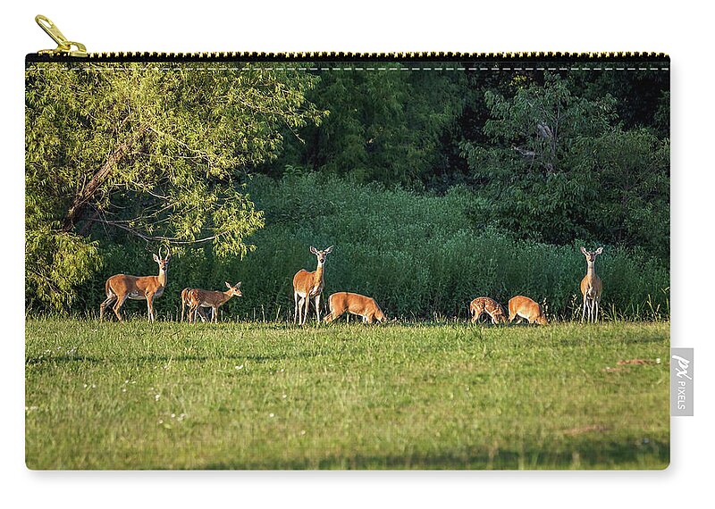 Animal Zip Pouch featuring the photograph Deer by Doug Long